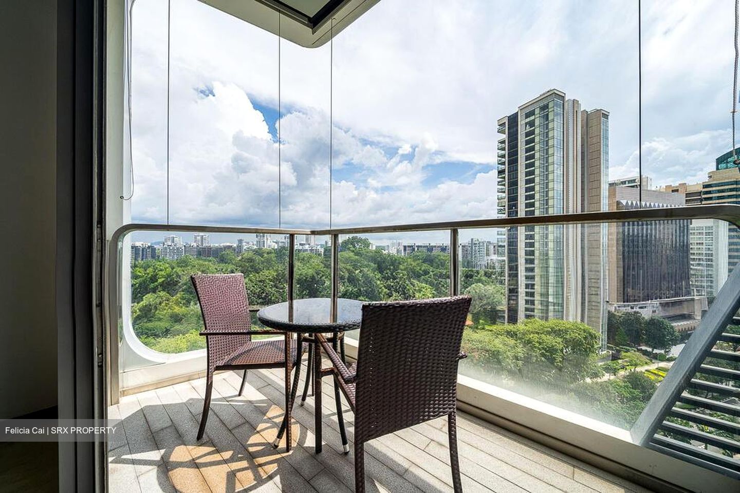 The Scotts Tower (D9), Condominium #518965901